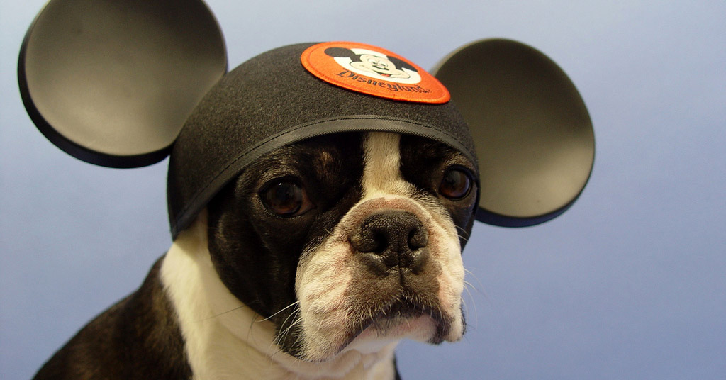 are the disneyland hotels pet friendly