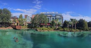 Are Disney Springs and Downtown Disney the same thing